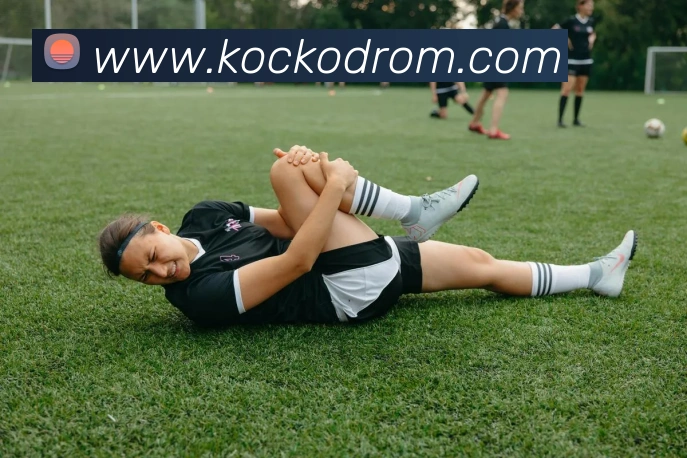 奖项证书